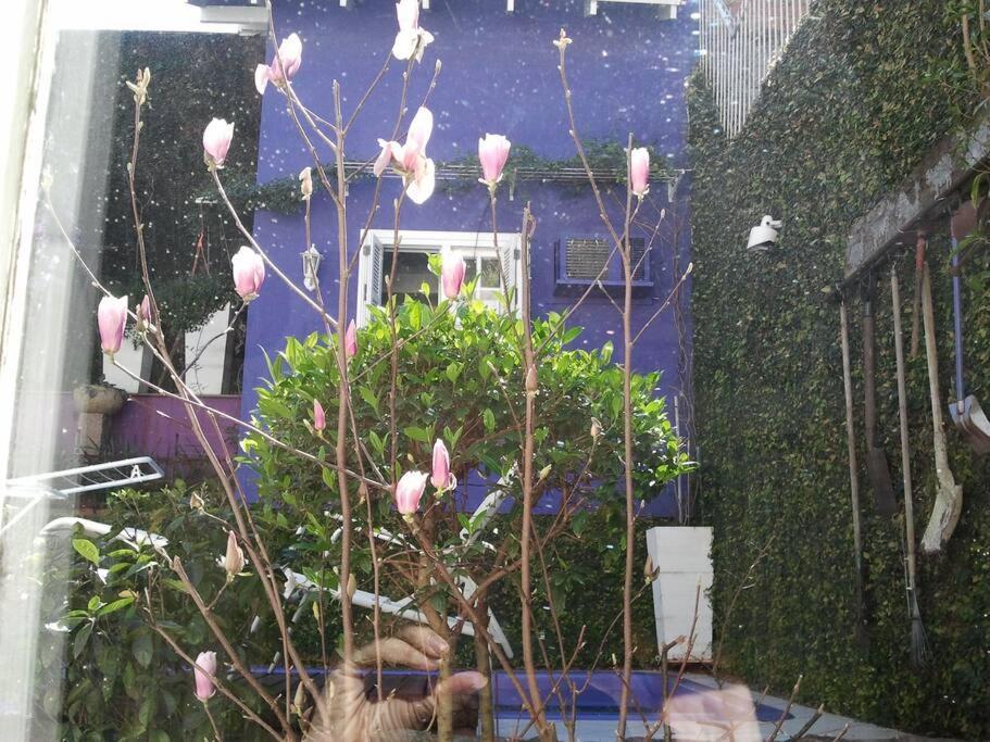 Morada Das Flores 阿雷格里港 外观 照片